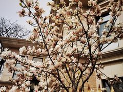 -南山鲜虾面·活鲜小馆·海味大连菜(南山总店)
