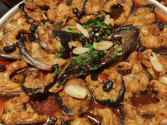 -宋小谨(惠安禹洲店)