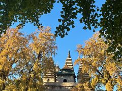 -北京石刻艺术博物馆(五塔寺)