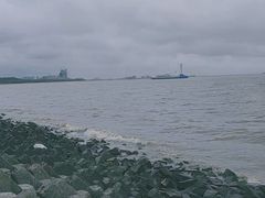 -上海滨江森林公园