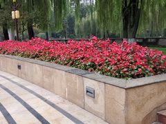 -温江公园