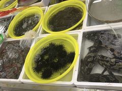 -板桥海鲜广场(文明东店)
