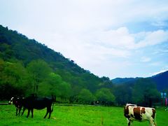 -大水川景区