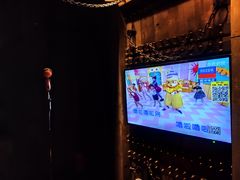 -V SHOW max KTV(粉巷店)