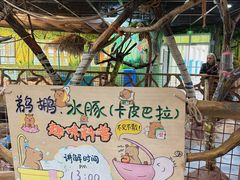 -海合安武汉极地海洋公园