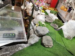 -春水锅贴·传统鲁菜(大明湖店)