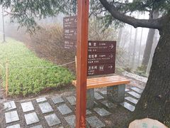 -庐山风景区花径公园