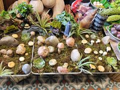 -福照楼汽锅鸡·云南菜(万达广场店)