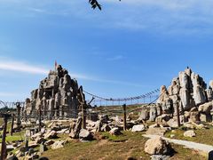 -石家庄市动物园