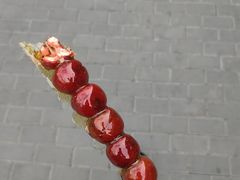 -白魁老号饭庄(安内店)