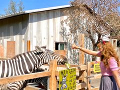 -水上乐园·欢乐世界