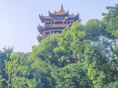 -小凤庭·地道湖北菜武昌鱼·藕汤(38年黄鹤楼店)