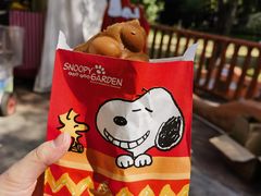 -史努比缤纷世界