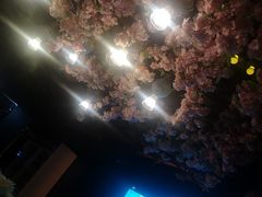 -W20 SHINING Party·K(悦豪和平路店)