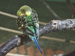 -上海大自然野生昆虫馆(东方明珠·爬宠昆虫探索中心)