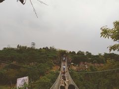 -天适樱花悠乐园