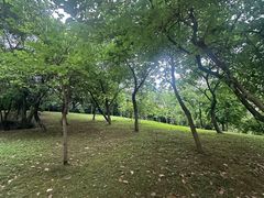 -广东药科大学(广州校区大学城校园)