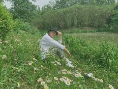 -白鹭湾湿地公园