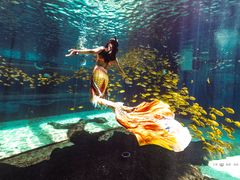 -三亚海昌梦幻海洋不夜城