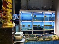 -金龙·打边炉(南京西路店)
