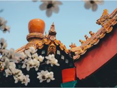 -故宫博物院(故宫)