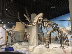 -国家自然博物馆