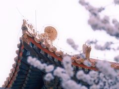 -雍和宫