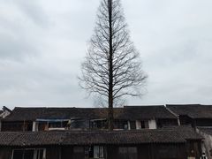 -乌镇景区