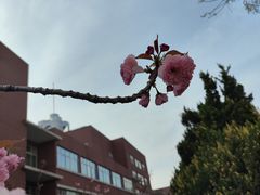 -山东大学(软件园校区)