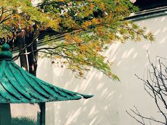 -秋霞圃