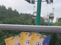 -广州长隆野生动物世界