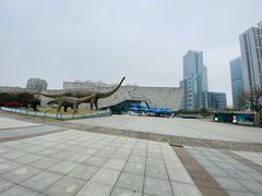 门面-安徽省地质博物馆