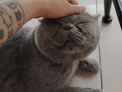 -平行世界·猫咖(首经贸店)