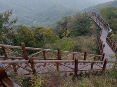 -大岭沟猕猴桃谷风景区