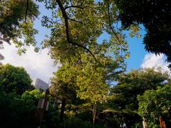 -黄埔古港