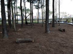 -渤公岛生态公园