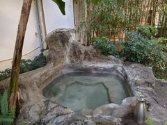 -云南滇池花园国际大酒店温泉