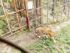 -哈尔滨北方森林动物园