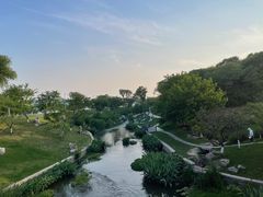 -羊山湖公园