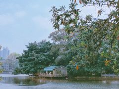 茶室-东山湖公园