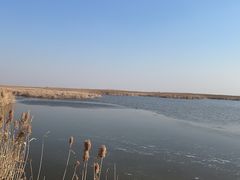 -盐城丹顶鹤湿地生态旅游区