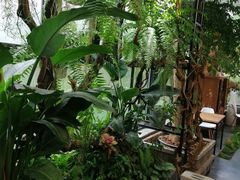 -北马山庄植趣咖啡