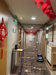 -爱陪伴尊享月子中心(国际店)