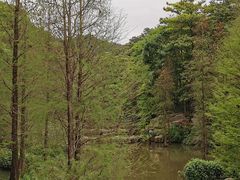 -云溪植物园