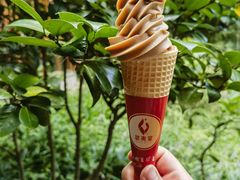 -五夫晨照朱子小吃(度假区店)