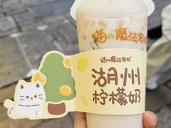 -猫的魔法密林(衣裳街店)