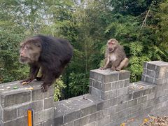 -九华山风景区月身宝殿