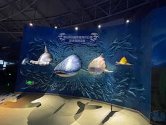 -烟台海昌鲸鲨海洋公园