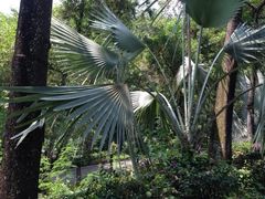 iphone_upload_pic-吉隆坡雀鸟公园