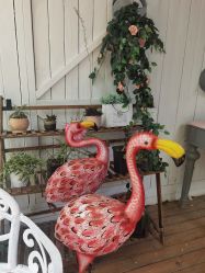 -非常六加一儿童摄影(同安店)